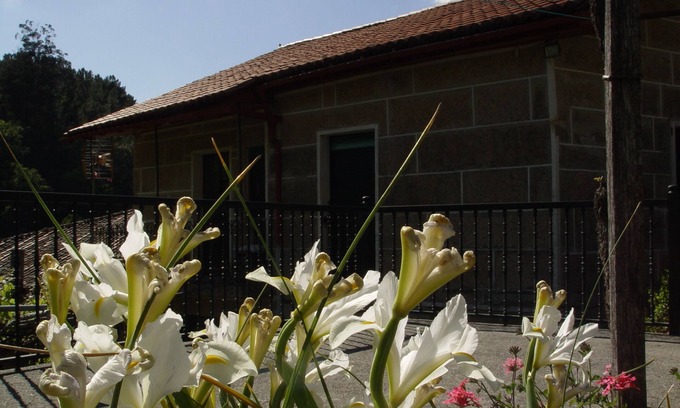 Nogueira de Ramuin Cottage | Cozy House in Viñoas - Ribeira Sacra with Kitchen Amenities