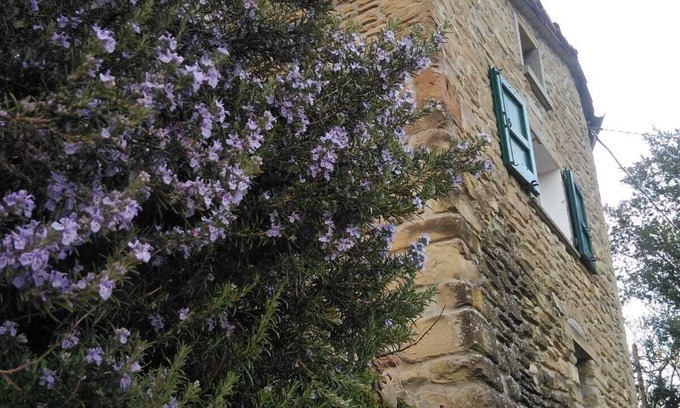 Castel del Rio Other | Secluded Stone Retreat by the Chestnut Grove - Rated 10/10