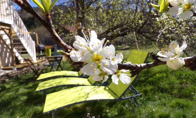 Granges-Aumontzey House | Pet-Friendly House with Spa & Scenic Views near Gérardmer