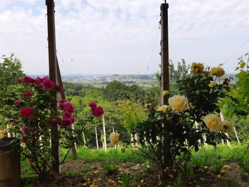 Kraljevec Sesvetski House | Family-Friendly Getaway at House of The Red Poppy
