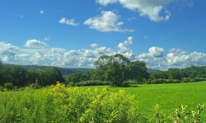 Pawling House | Inviting House on Appalachian Trail, Steps from NYC Trains