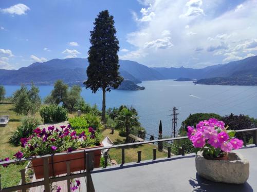 Vezio Apartment | Delightful House Paradise: Family-Friendly Retreat Awaits