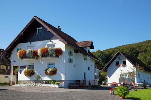 Jezerce Hotel | Pet-Friendly House Pox: Rated 9/10 for Family Comfort