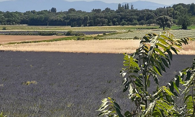 Suze-la-Rousse House | Perfect House for 10-12 Guests in Scenic Provence