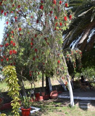 Toroni Apartment | Discover House Souzanna: Pet Friendly with Family Amenities