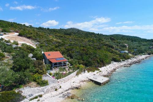 Tkon House | Experience House Starfish: Pet-Friendly Oceanfront Retreat