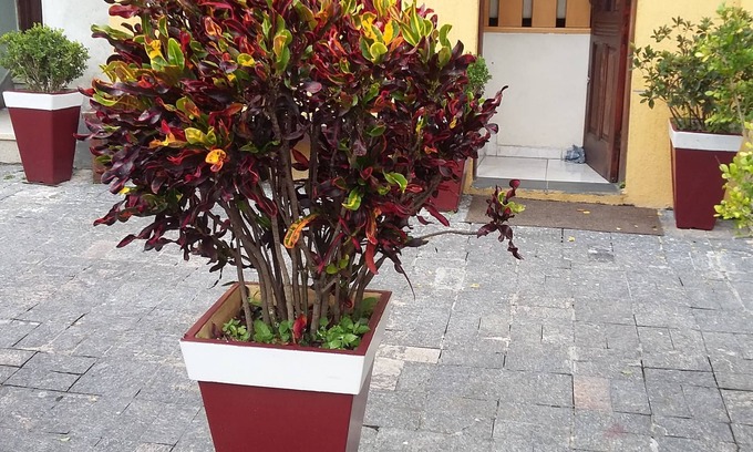 Sao Paulo House | Budget-Friendly House with Child-Friendly Amenities