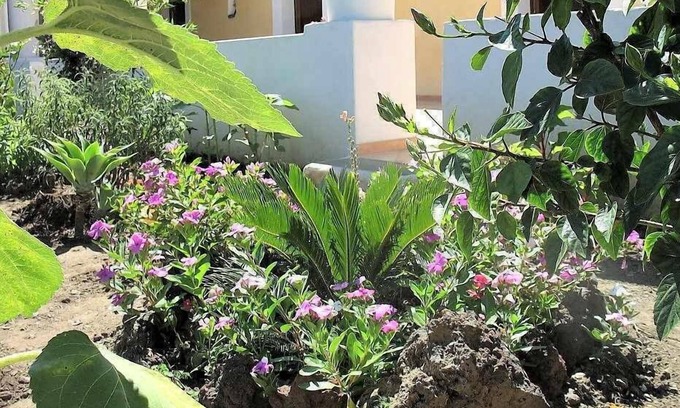 Malfa House | Discover House The Sunflower in the Heart of Malfa