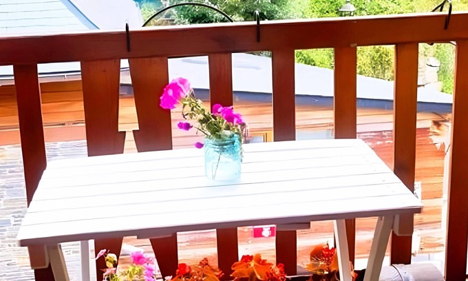Vielha e Mijaran Villa | House with garden in Vielha