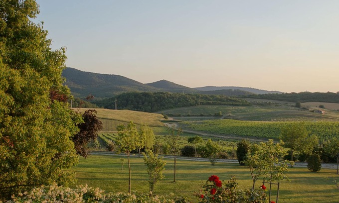 Manciano Apartment | Pet-Friendly Retreat: House with Terrace - Palm of Earth
