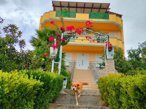 Lefkandi Apartment | Tranquil House with Breathtaking Views and Family Amenities