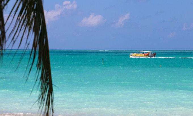 Barra Grande House | Pet-Friendly Homes with Ocean Views in Barra Grande