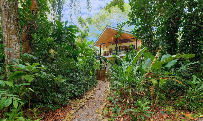 Punta Uva Villa | Beachfront Howler Villa: Steps from the Ocean Paradise