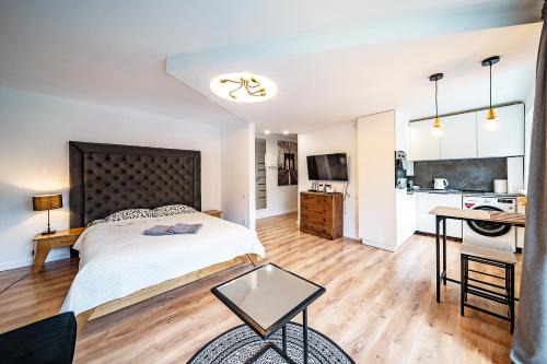 Siauliai City Center Apartment | Cozy Hugo Apartment: Pet & Child Friendly Stay Awaits