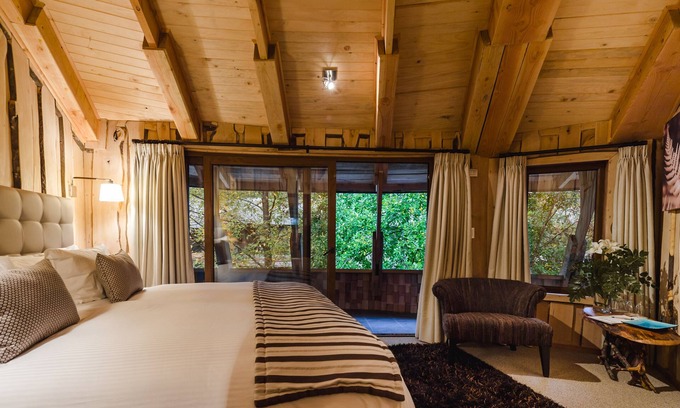 Neltume Cabin | Discover Huilo Huilo Reino Fungi: Pool, Spa & Dining