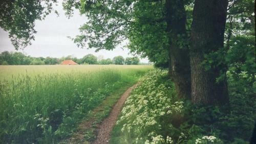 Onstwedde Bed & Breakfast | Discover Huis Eedingh: Rated 9/10 for Unforgettable Stays