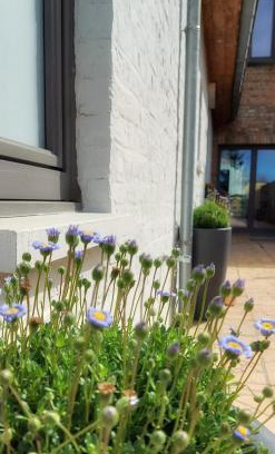 Sint-Andries House | Oceanfront Retreat at Huize Andries with Top Guest Ratings