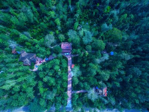 Somvarpet Resort | Exceptional Stays at Coorg Humble Nest - Family Friendly!