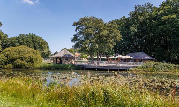 Beerze Other | Discover Huttopia de Roos: Pet-Friendly Retreat with Dining