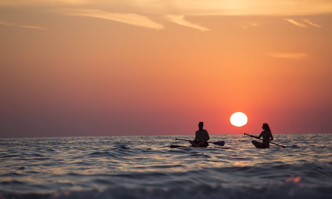 Bayou Oaks Hotel | Discover Hyatt Place Sarasota/Bradenton Airport with Ocean View