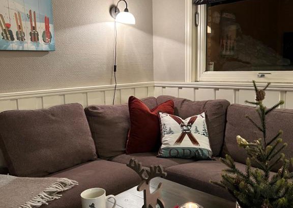 Hemsedal Apartment | Cozy Apartment in the Heart of the City - Guest Rated 9.1