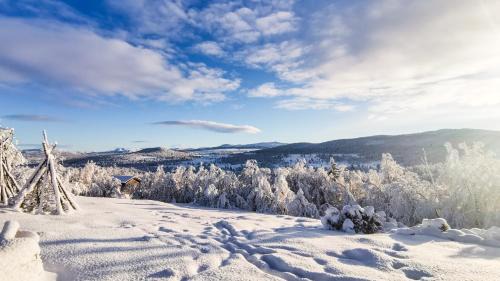 Al Municipality Ski Chalet | Hytta Idyll