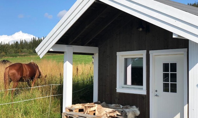 Oystre Slidre Cabin | Pet-Friendly Hytte på Myhre Gård with Top Guest Ratings