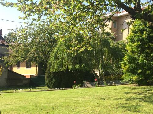 Moncalieri Apartment | Family-Friendly I Ciliegi - Rated 9/10 by Guests