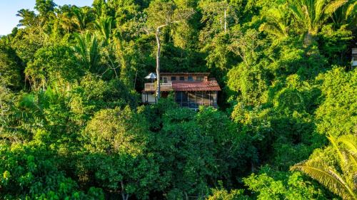Belmopan Hotel | Experience Ian Anderson Caves Branch Jungle Lodge Bliss