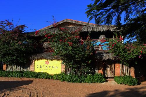 Jijoca de Jericoacoara Hotel | Ocean View Retreat at Pousada Ibiscus - Rated 9/10