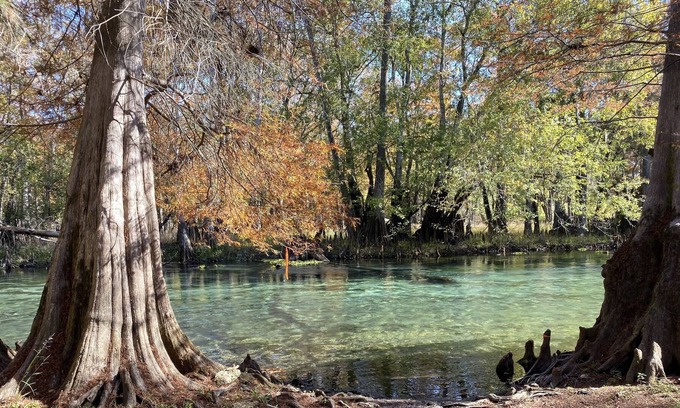 Branford House | Idyllic Ichetucknee River House with Ocean Views & Breakfast