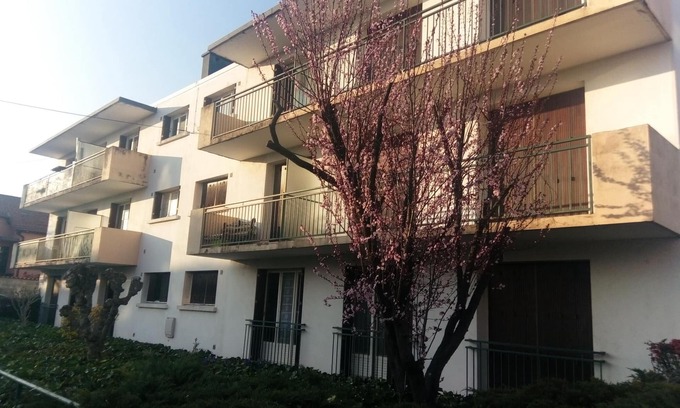Roanne Apartment | Conveniently Located Pet-Friendly Apartment with Kitchen