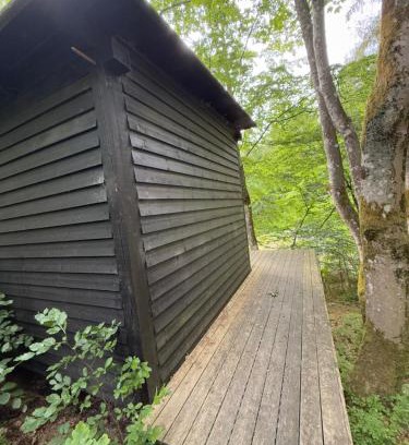 Them Other | Idylisk primitiv hytte midt i skoven