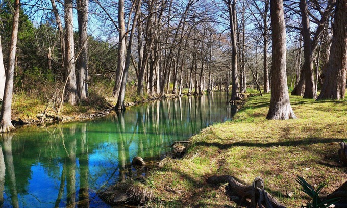 Wimberley House | Relaxing Retreat by Cypress Creek - Guest Rated 10/10!