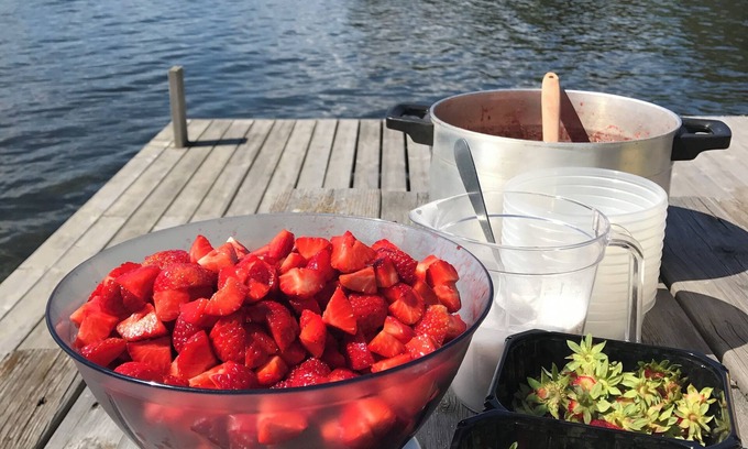 Hamar Municipality Cabin | Scenic Waterfront Resort: Family-Friendly with Kitchen Access
