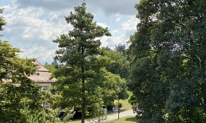 Bad Mingolsheim Apartment | Relaxing Apartment with Spa Views Near Scenic Gardens