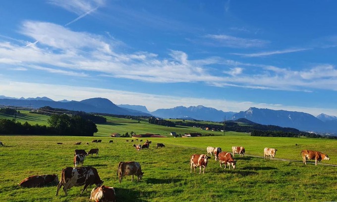 Seekirchen am Wallersee Apartment | Stylish Designer Apartments on a Scenic Bio-Farm Retreat