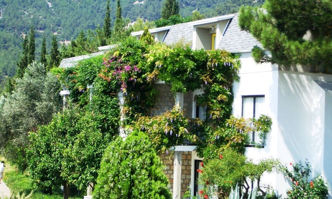 Turunc Apartment | Relax Under Olive Trees with Ocean View & Spa Delights
