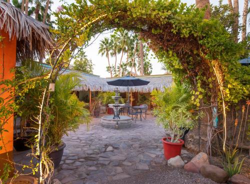 Loreto Hotel | Iguana Inn