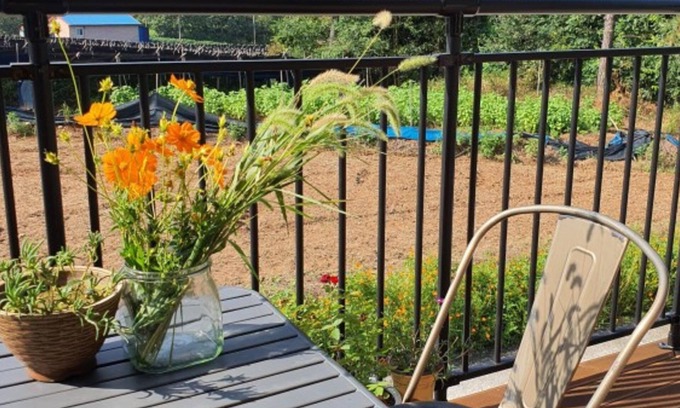 Iksan House | Eco-Friendly Iksan Sky Forest Pension - Guest Rated 9.4/10