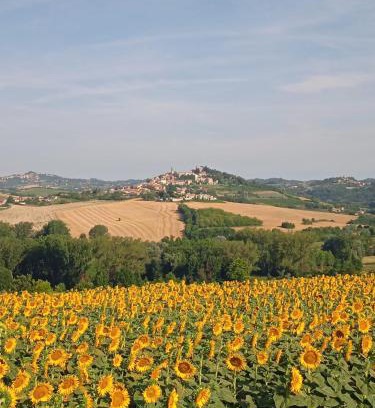 Montiglio Monferrato Bed & Breakfast | Discover Il Casale: Your Ideal Getaway Awaits