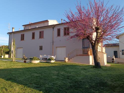 Crespina House | Pet-Friendly Retreat at Affittacamere Il Colle - 9.3/10 Rating