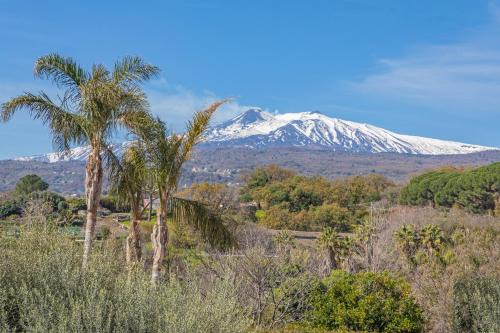 Piedimonte Etneo Apartment | Il Comandante: Family and Pet Friendly 4-Star Retreat