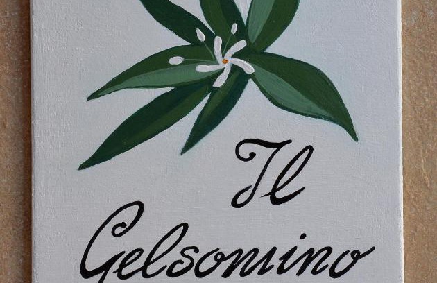 Altidona Apartment | Pet-Friendly Il Gelsomino with Ocean Views & Perfect Rating