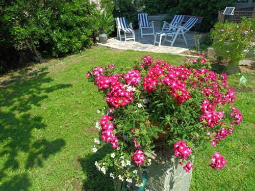 Boccadasse Apartment | Lovely Apartment with Garden in Boccadasse - Rated 9.4/10