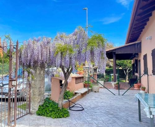 Torrimpietra House | Family-Friendly Retreat at Il Glicine di Luna - Rated 9.3