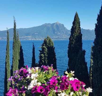 Torri del Benaco Apartment | Scenic Il Paradiso Apartments with Great Lake Views