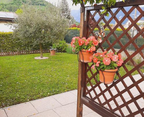 Quartiere XXIV Don Bosco House | Il PETTIROSSO