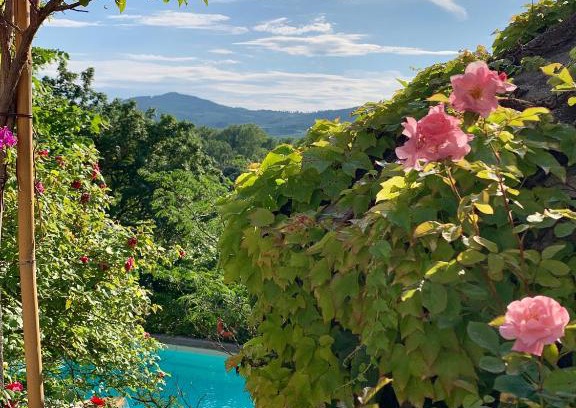Scopeti House | Pet-Friendly Il Pezzatino with Pool and Family Amenities