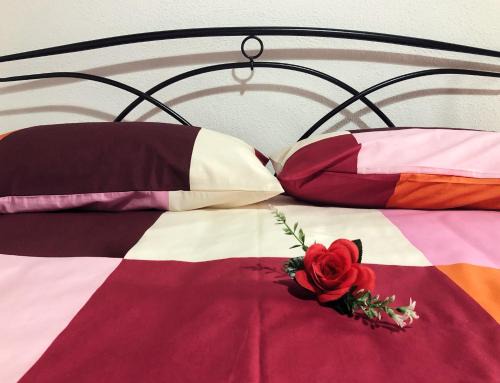 Ronciglione House | Discover Il Rifugio delle Rose: Pet Friendly Oceanfront Retreat